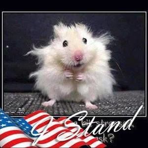 Meet your Posher, Carol